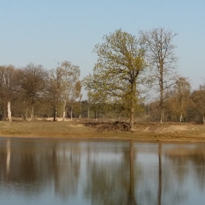 Het is lente!