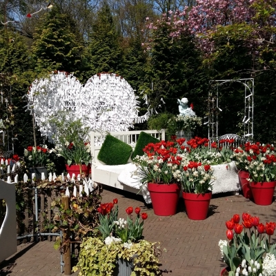 Oh's en ah's in kleurrijke Keukenhof