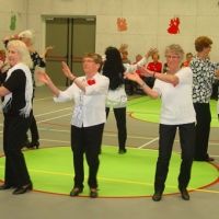 volksdansen2020154 - 