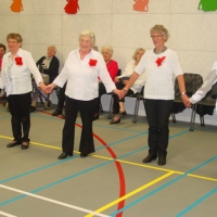 volksdansen20201582 - 