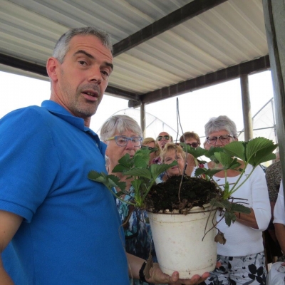 07inplantenaandebuitenrandvandepot - Inplanten doe je aan de buitenrand van de pot.