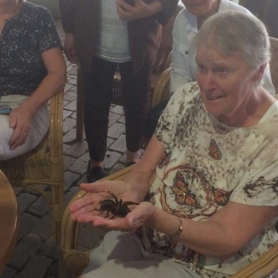 Bezoek aan De Oliemeulen te Tilburg. Zomeractiviteiten 2019