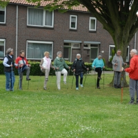 stokken5 - 