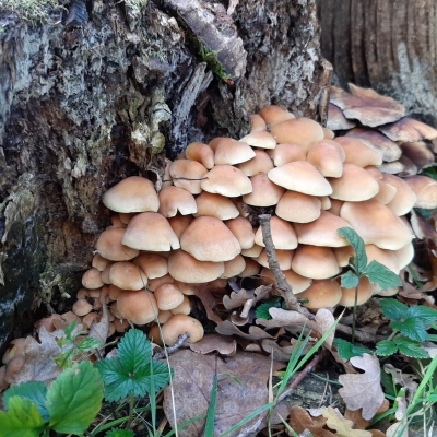 6 - 