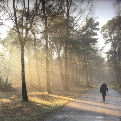 wandelen in boswachterij Dorst - 