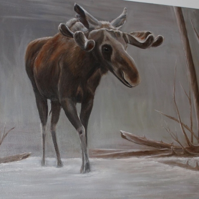 Expositie olieverfatelier in Oase