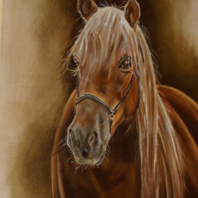 paard1 - 