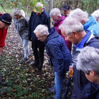 herfstwandeling_1 - 