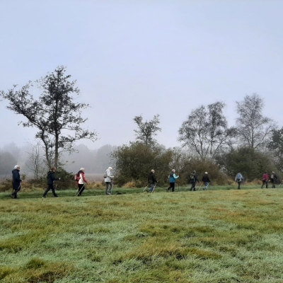 4 - prachtige wandeling door bos en hei