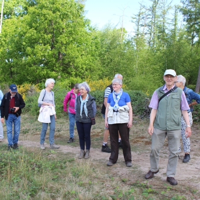 Zonnige Lentewandeling naar Surae
