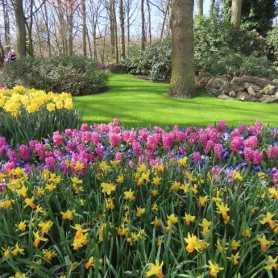 Kleurrijk dagje uit naar de Keukenhof