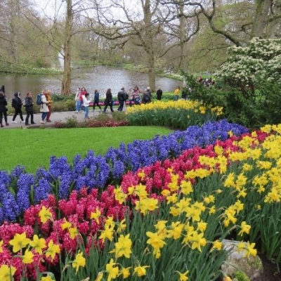 keukenhof2023-9 - 