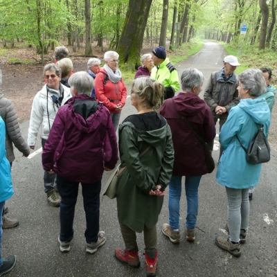 Lentewandeling met Willem en Frans