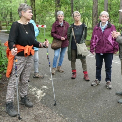 willempostmetzijngroep - 