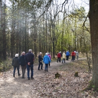 2015wandeling3 - 