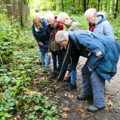 herfstwandeling_groepfrans - 