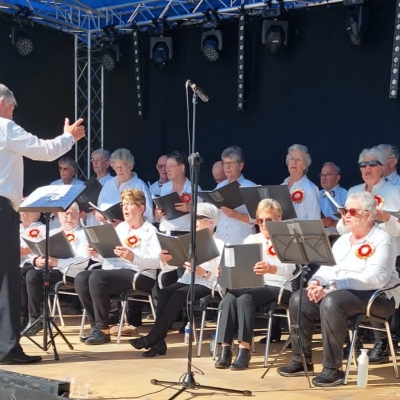 koorwilgenhart09062024 - 