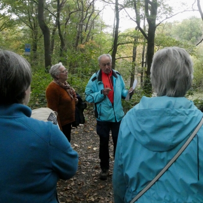Herfstwandeling met heel veel paddenstoelen