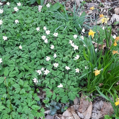 Beweeg!Knarren genieten van de natuur