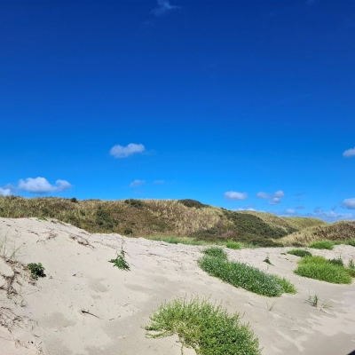 2026_SVRvakantie - 