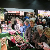 veldhoven2 - 